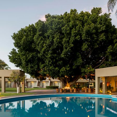 Camino Real Guadalajara Hotel Запопан Екстериор снимка The Banyan Resort