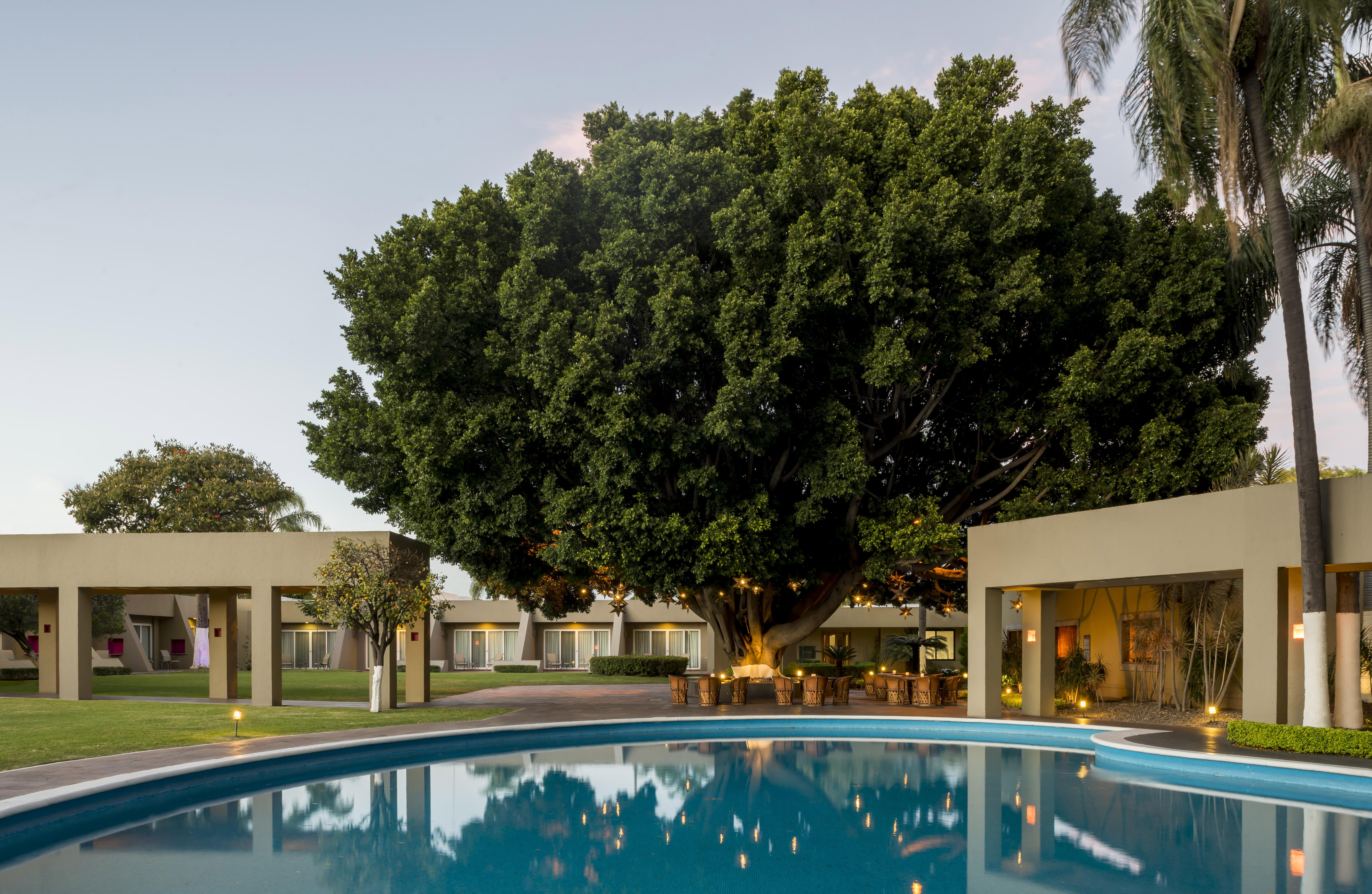 Camino Real Guadalajara Hotel Запопан Екстериор снимка The Banyan Resort